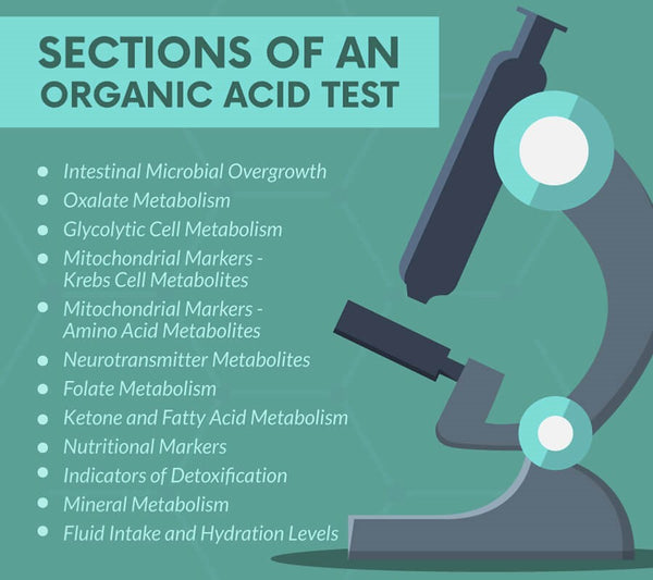 Organic Acid Test (OAT)